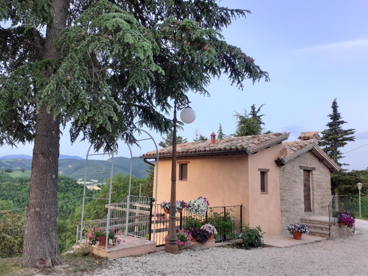 Ca' Gulino - Urbino - Villa Con Minipiscina In Borgo Antico Exteriér fotografie