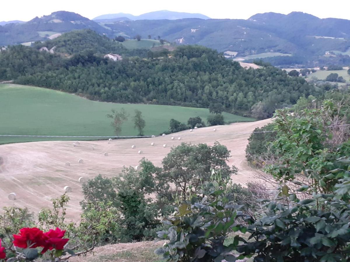 Ca' Gulino - Urbino - Villa Con Minipiscina In Borgo Antico Exteriér fotografie