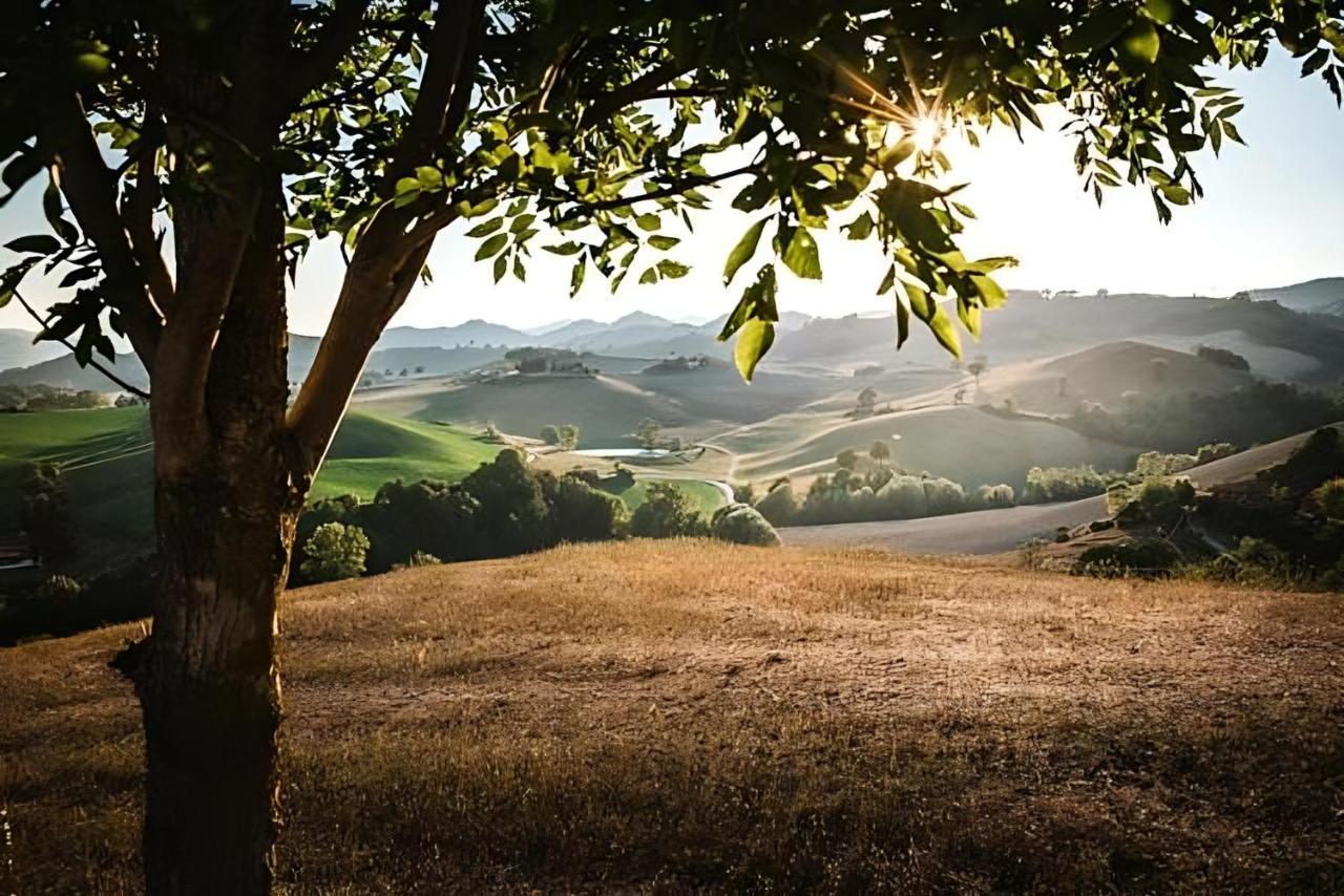 Ca' Gulino - Urbino - Villa Con Minipiscina In Borgo Antico Exteriér fotografie