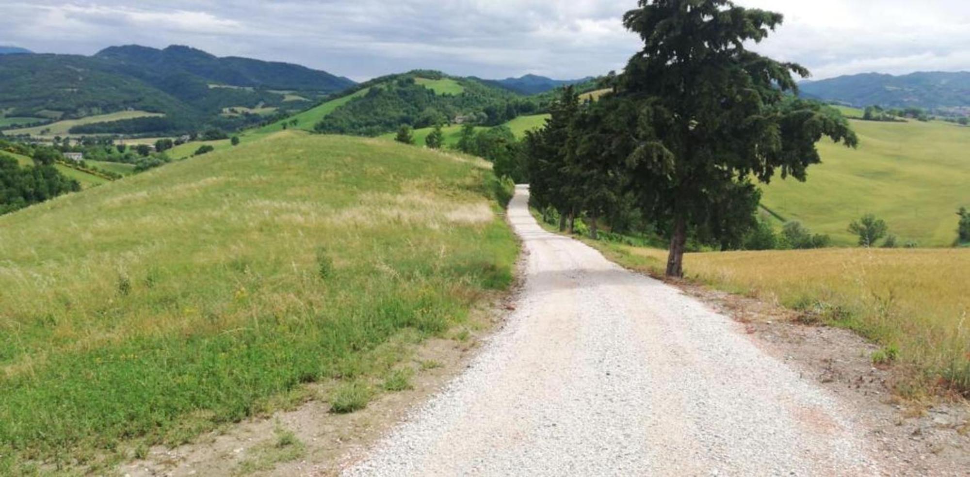 Ca' Gulino - Urbino - Villa Con Minipiscina In Borgo Antico Exteriér fotografie