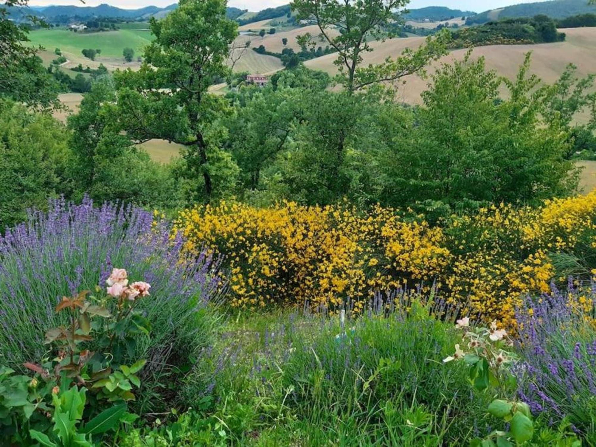 Ca' Gulino - Urbino - Villa Con Minipiscina In Borgo Antico Exteriér fotografie