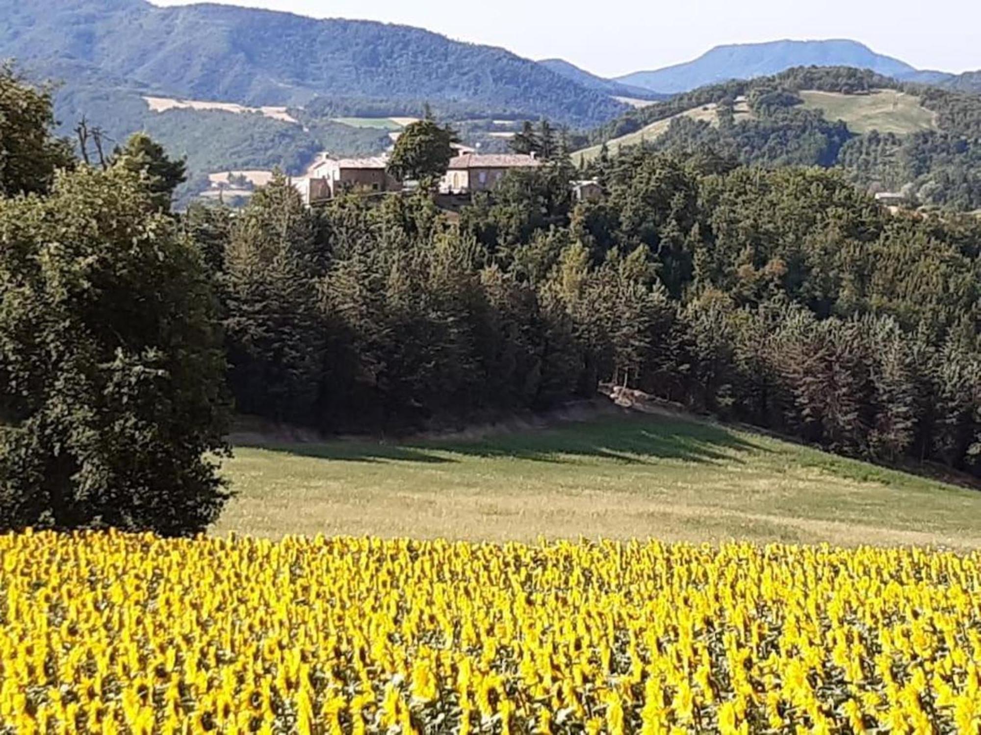 Ca' Gulino - Urbino - Villa Con Minipiscina In Borgo Antico Exteriér fotografie